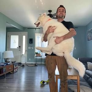 Meet your Posher, Jesse